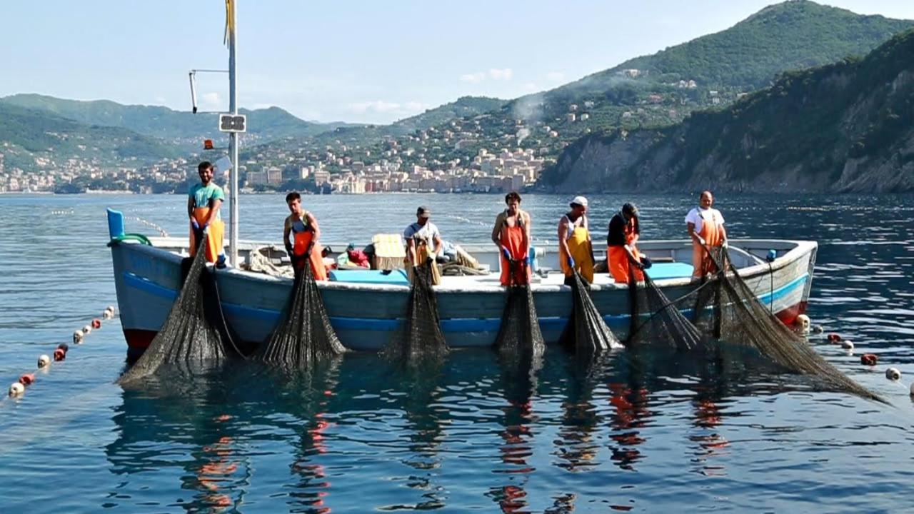 Stella Marina Hotell Camogli Exteriör bild